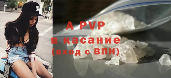 стаф Тында