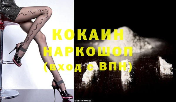 шишки Тутаев