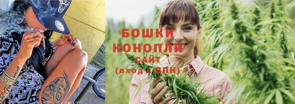 PSILOCYBIN Елизово