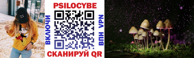 Галлюциногенные грибы Cubensis  Купить где  Серов 